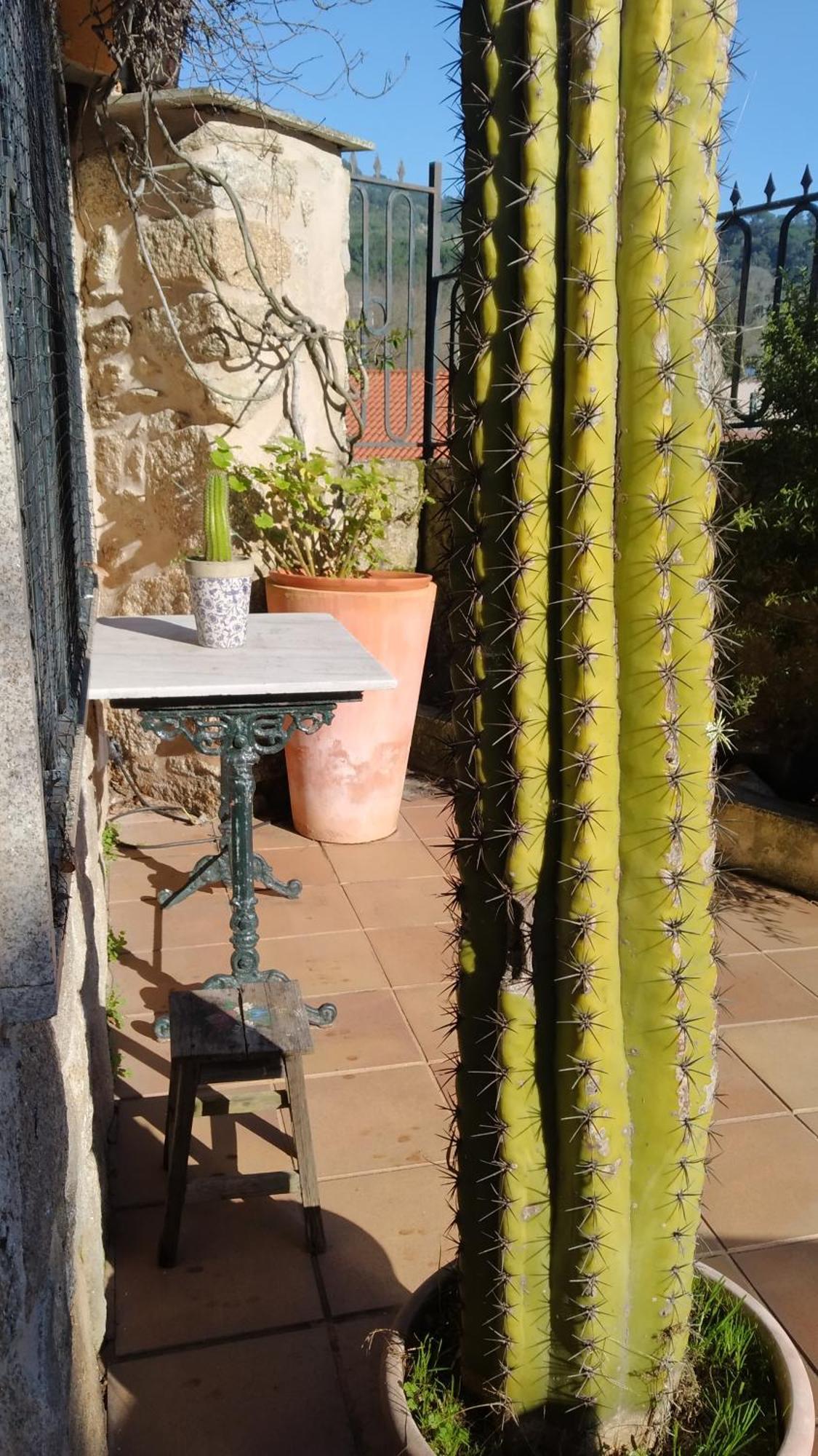 Casa Iriana - Parking Gratis I Jardin I Barbacoa Vila Ourense Exterior foto